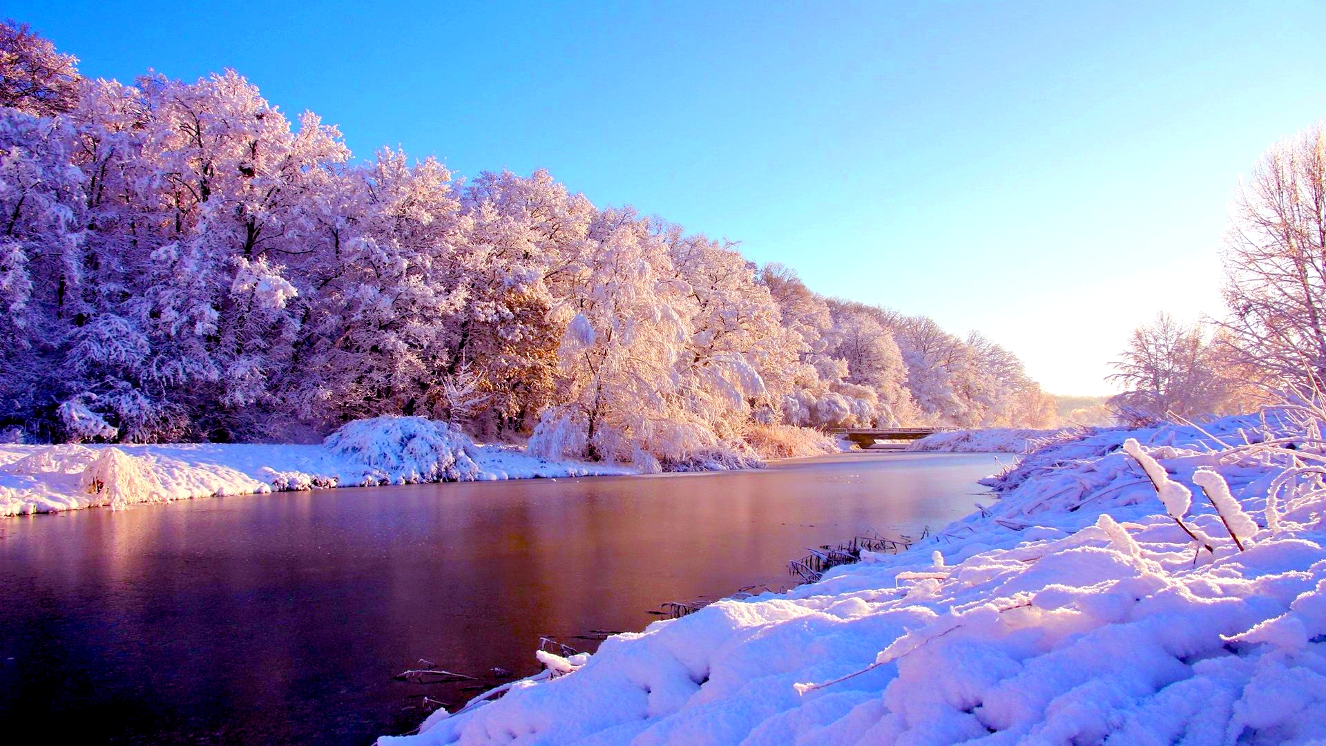 壁紙hdワイド画像高品質デスクトップ 冬 自然の風景 自然 雪 霜 6970 Wallpaperuse