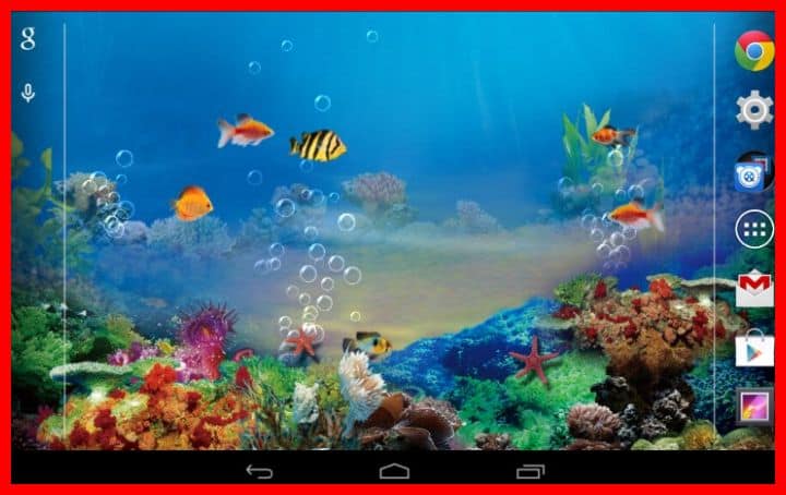 fond d'écran hidup lucu,sous marin,poisson,biologie marine,récif de corail,aquarium