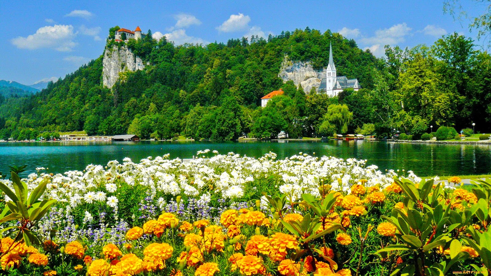 슬로베니아 벽지,자연 경관,자연,꽃,식물,봄