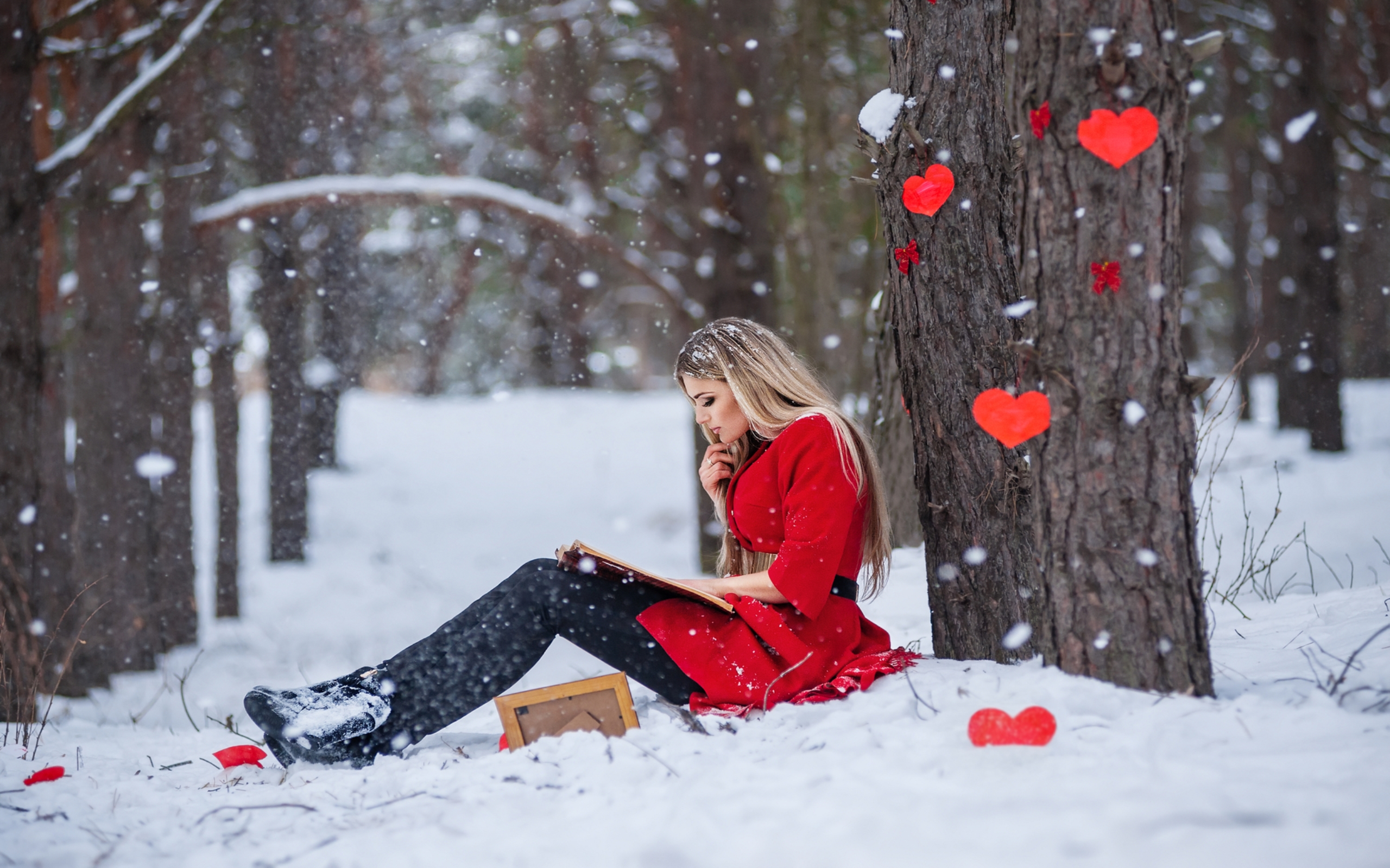 fondo de pantalla amor fondo de pantalla,nieve,rojo,invierno,congelación,belleza