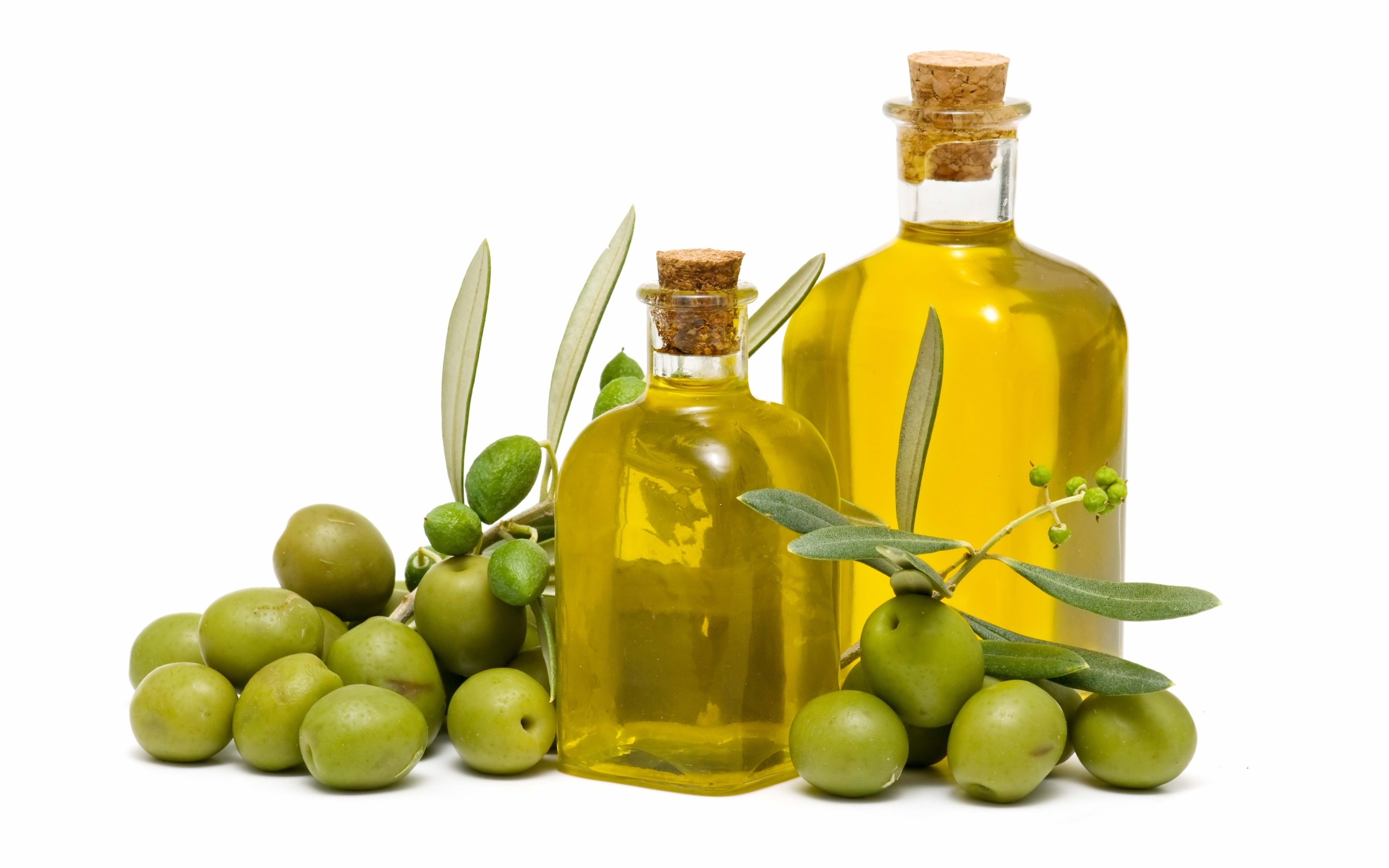 fondo de pantalla de oliva,aceituna,producto,botella,fruta,aceite de cocina
