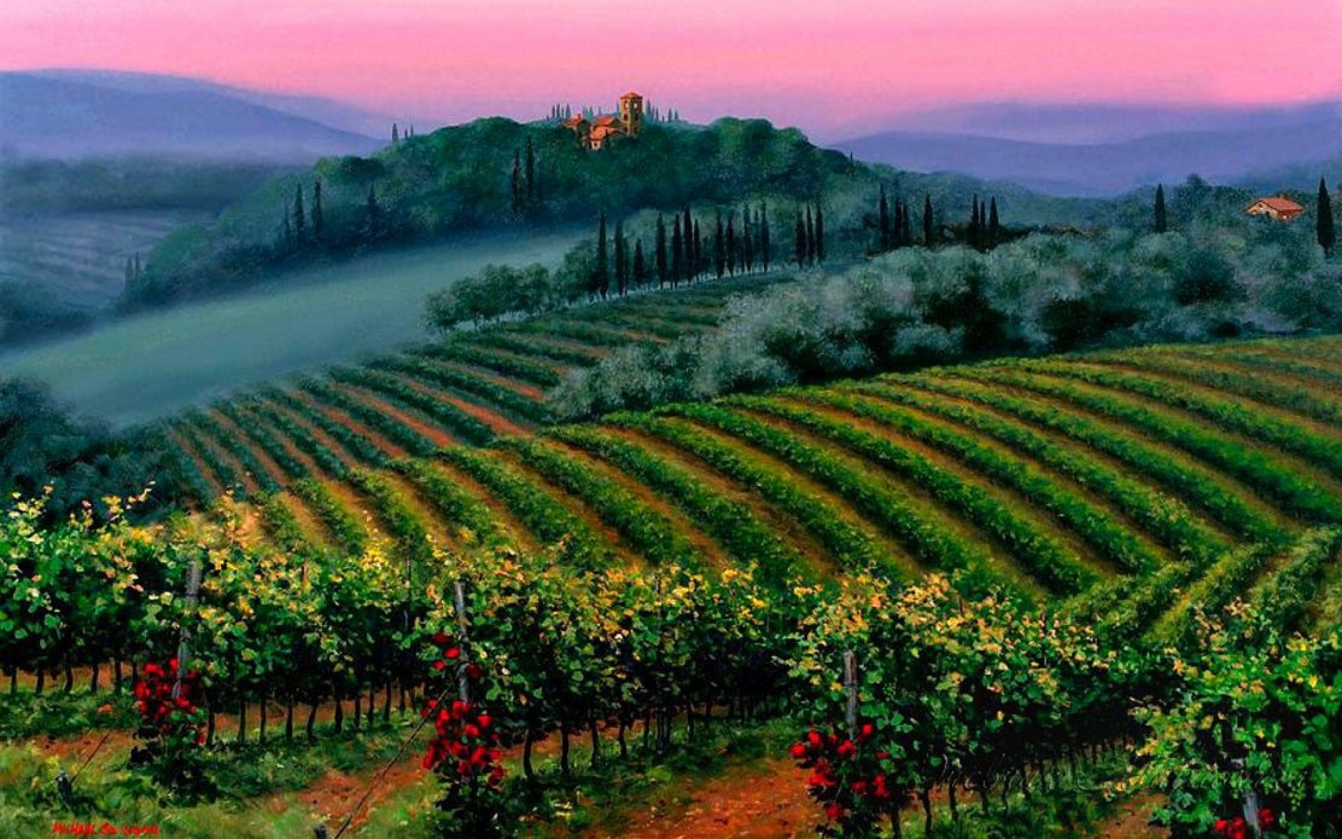 papel pintado de viñedo,naturaleza,estación de la colina,agricultura,paisaje natural,viñedo