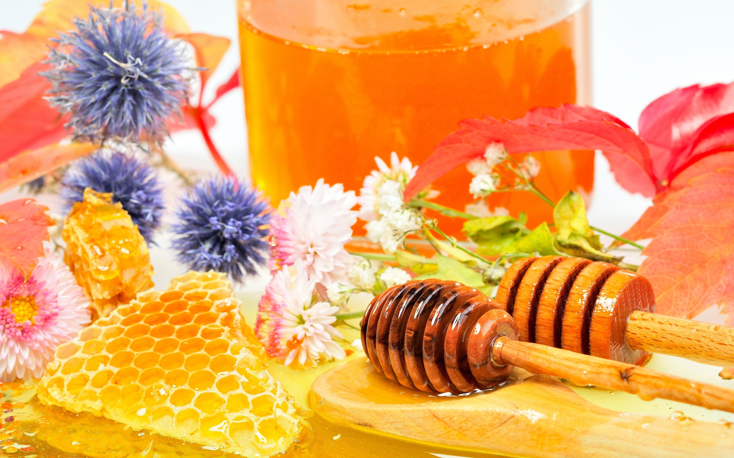 papel tapiz de miel,comida,abeja,dulzura,miel,plato