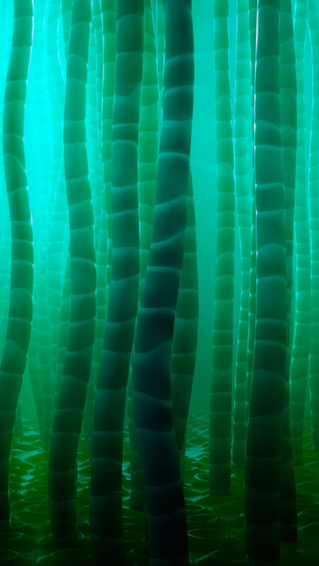 海藻壁紙,緑,ターコイズ,葉,水,閉じる