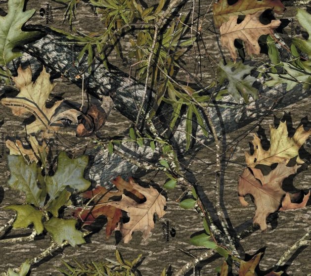 papier peint chêne moussu,camouflage,feuille,arbre,plante,modèle