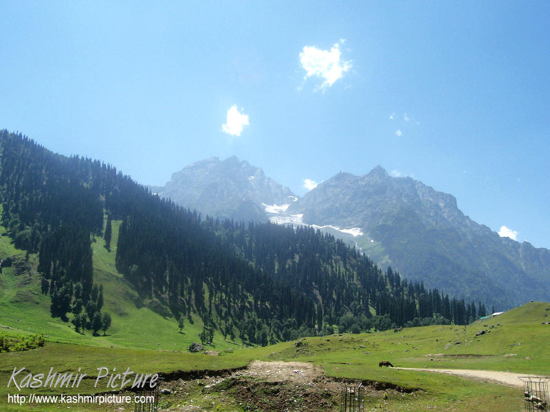 fondo de pantalla de pani wala,montaña,paisaje natural,estación de la colina,naturaleza,cordillera