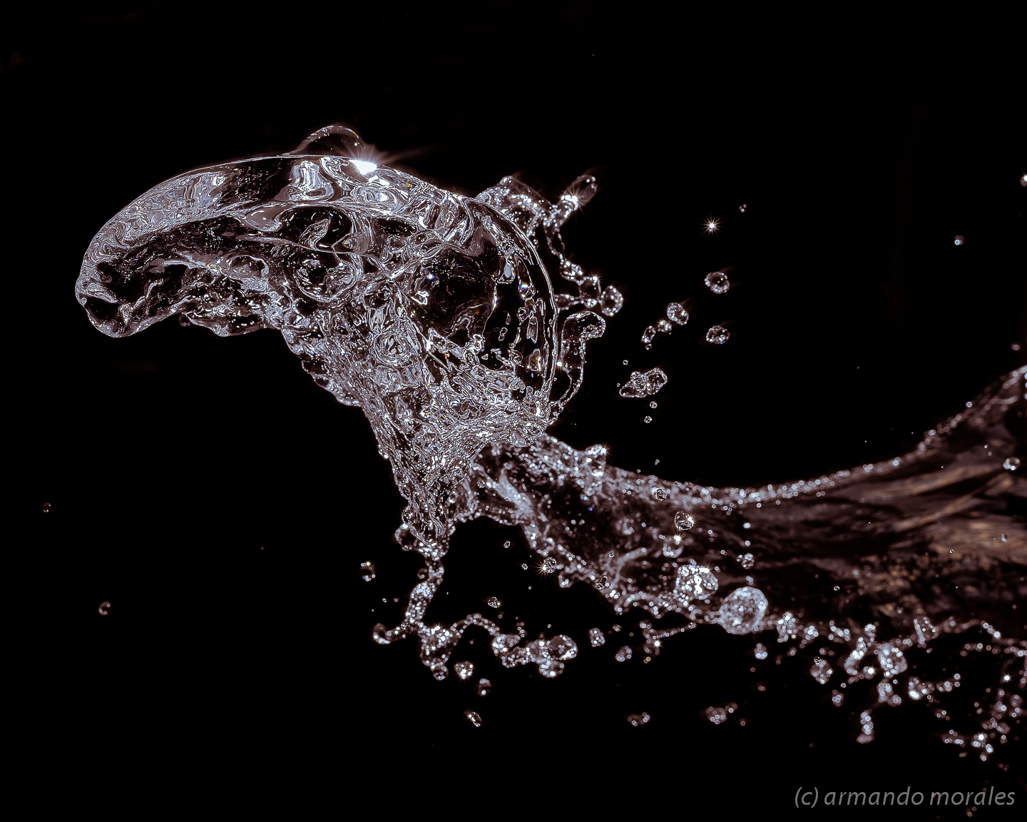 black water wallpaper,water,organism,font,photography,stock photography