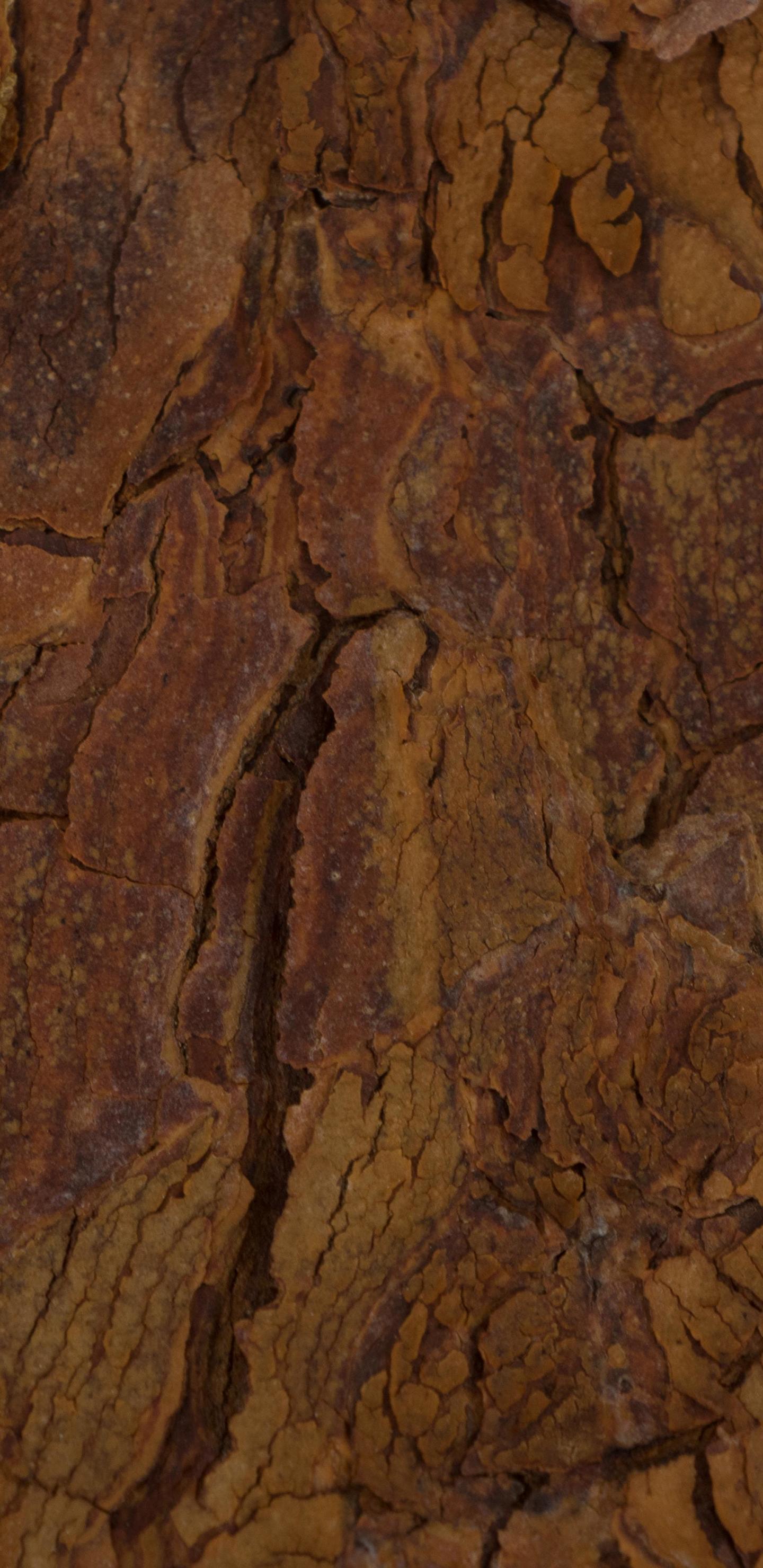 モバイル用のまともな壁紙 褐色 岩 木材 形成 風景 8715 Wallpaperuse