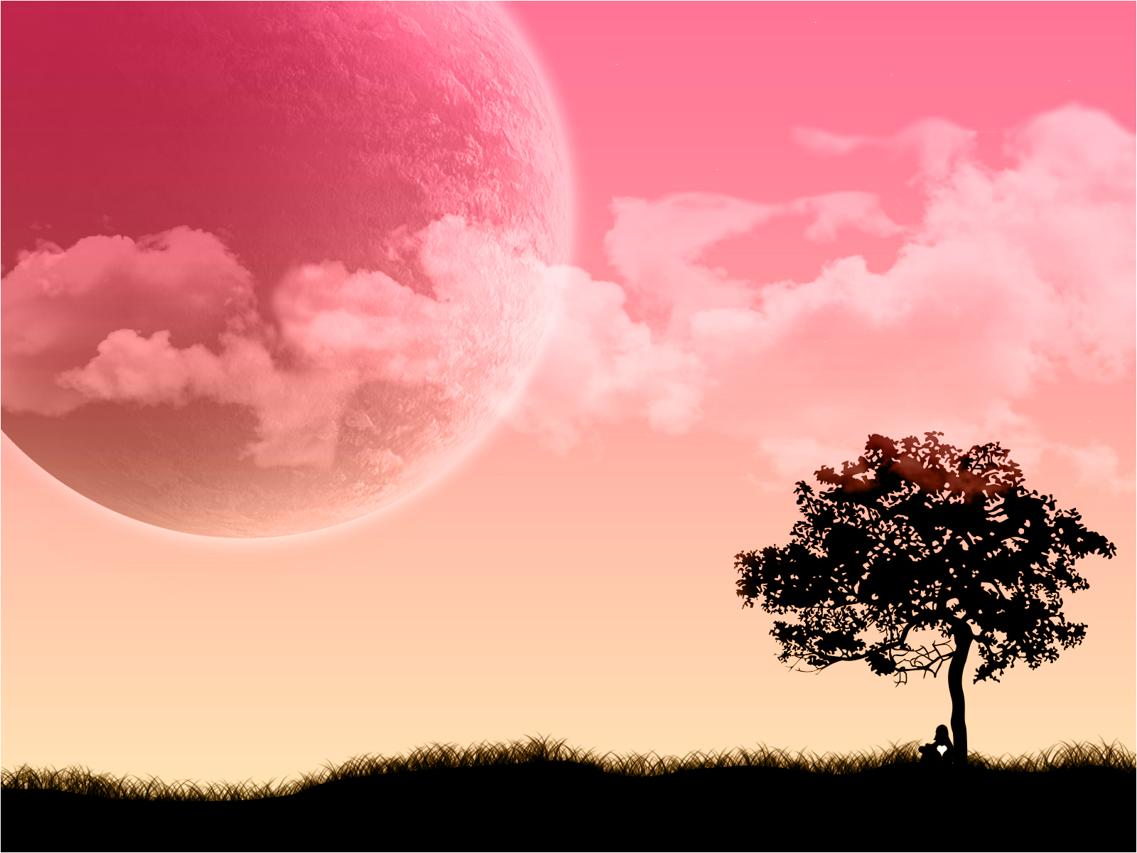ピンクの壁紙,空,自然の風景,自然,木,雲