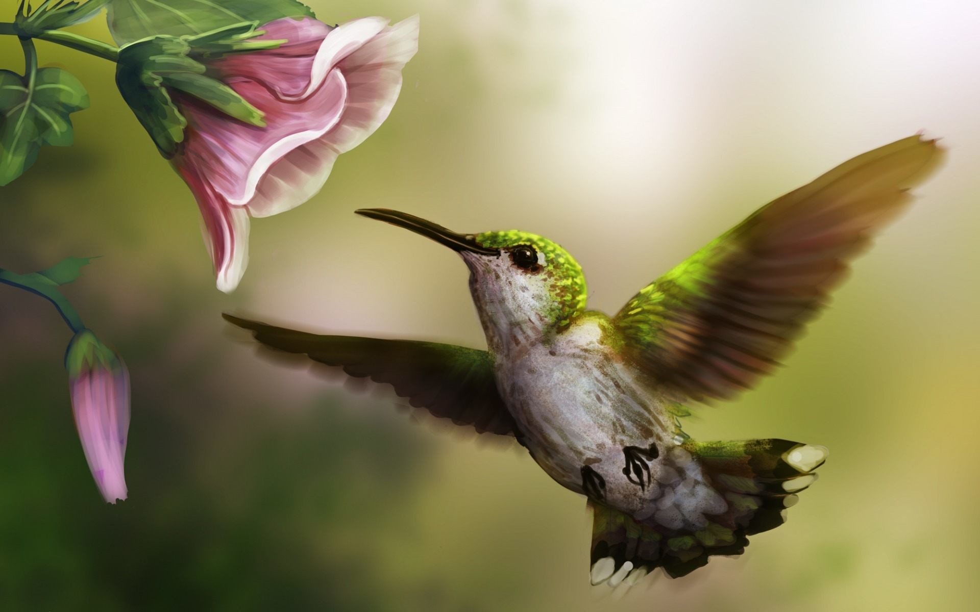 fondo de pantalla de colibrí,colibrí,pájaro,naturaleza,colibrí garganta rubí,colibrí rufo