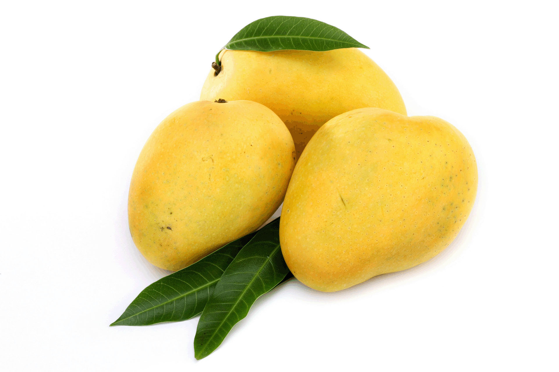 mango tapete,essen,gelb,pflanze,mango,baum