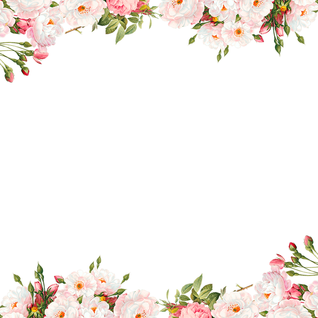 png fondo de pantalla hd,flor,planta,pétalo,diseño floral,planta floreciendo
