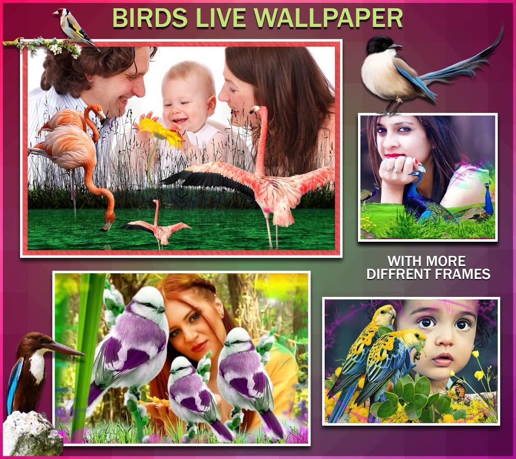 oiseaux live wallpaper,collage,art,la photographie,photomontage,enfant
