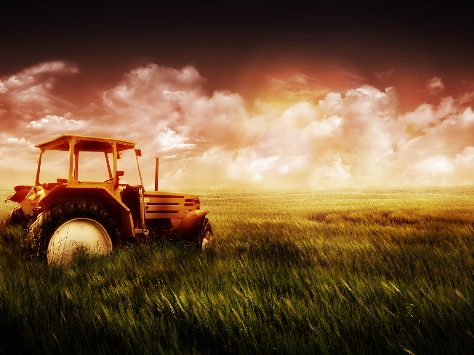 fondo de pantalla de la granja,naturaleza,campo,vehículo,pradera,césped