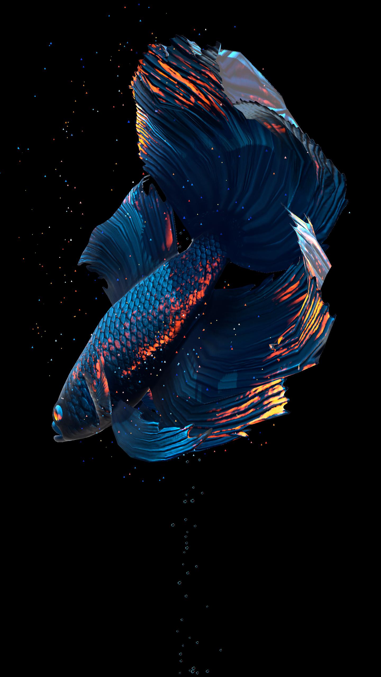 ライブ画像の壁紙,青い,魚,魚,エレクトリックブルー,海洋生物学