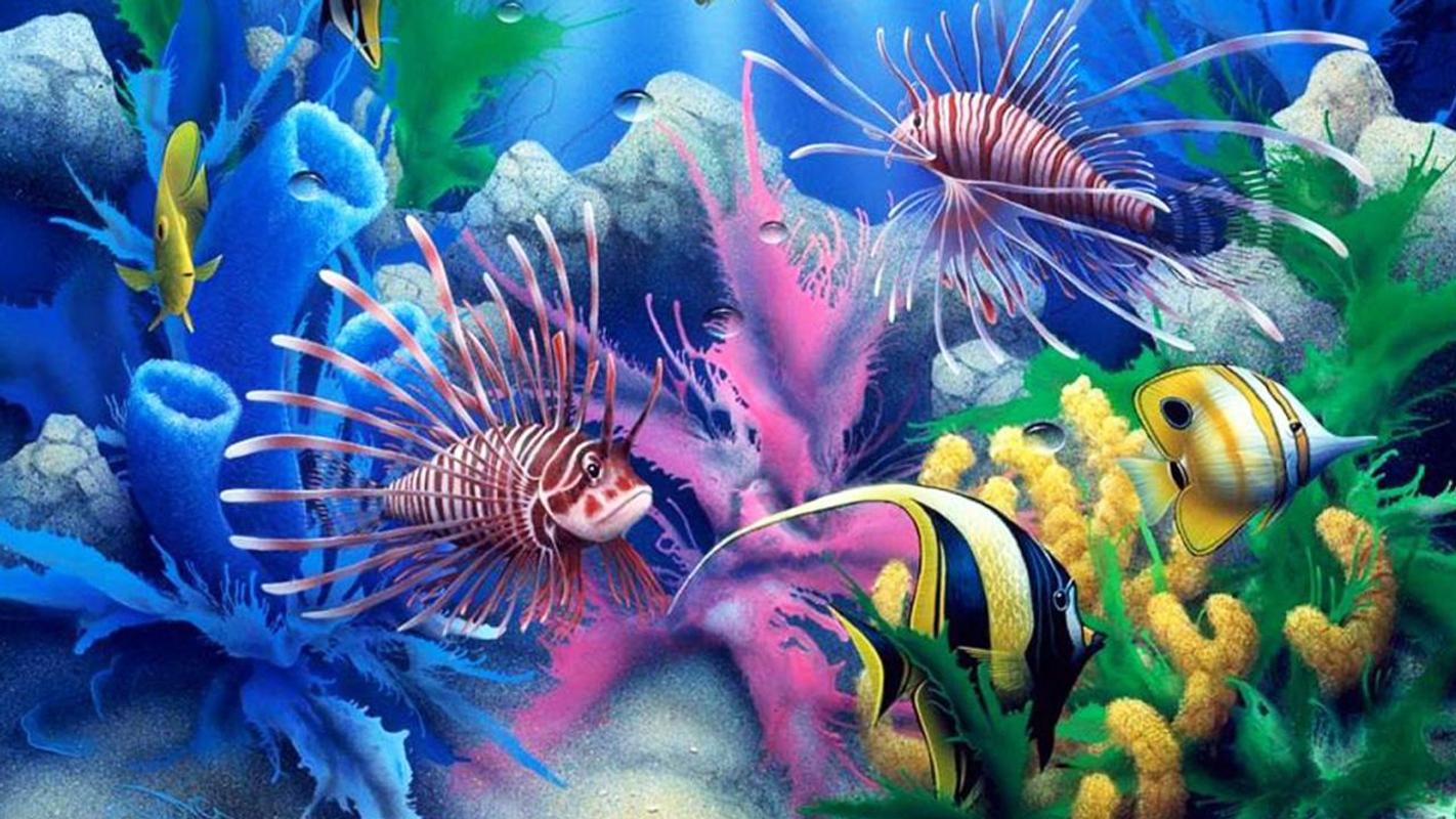 fond d'écran ikan hidup,biologie marine,sous marin,poisson,poissons de récifs coralliens,poisson