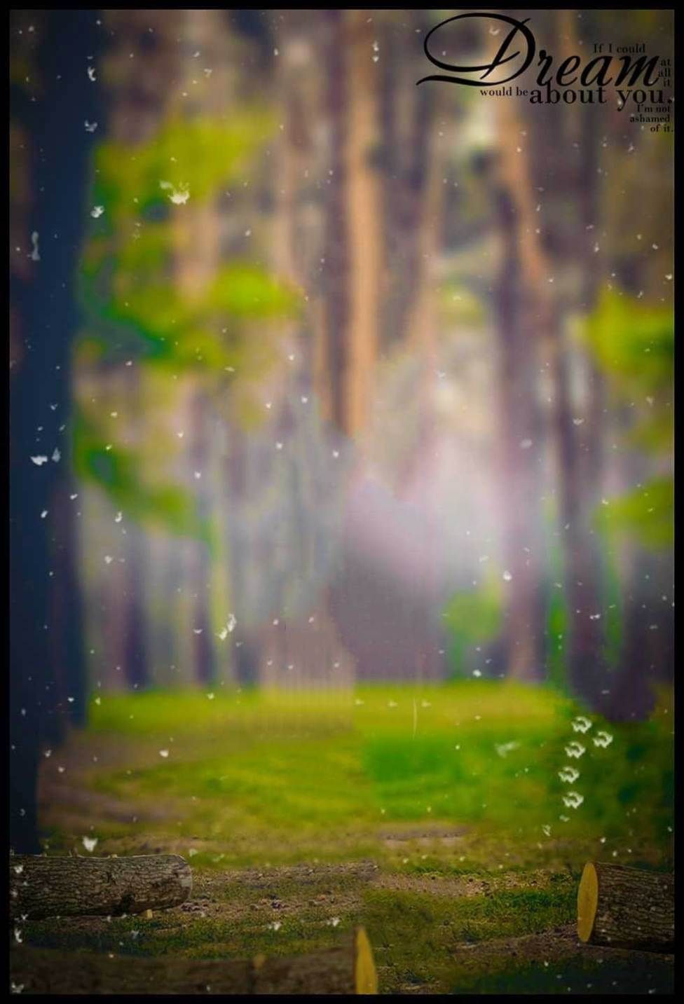 editor de fotos fondo de pantalla,naturaleza,verde,ligero,paisaje natural,árbol