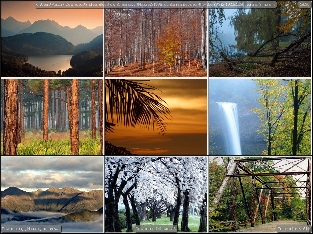 スライドショー壁紙,自然の風景,自然,写真,空,木