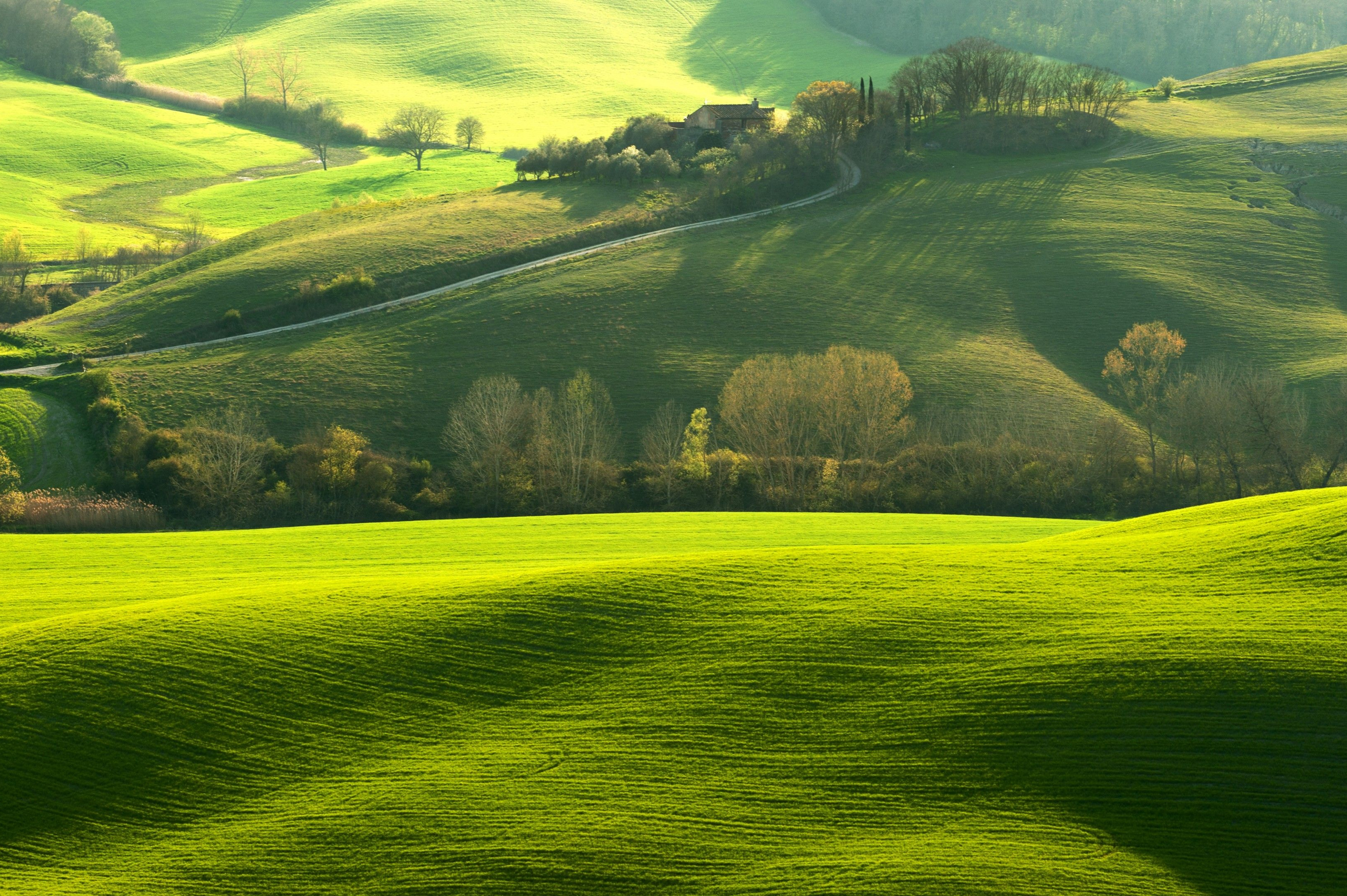 papel tapiz de campo,pradera,verde,paisaje natural,naturaleza,campo