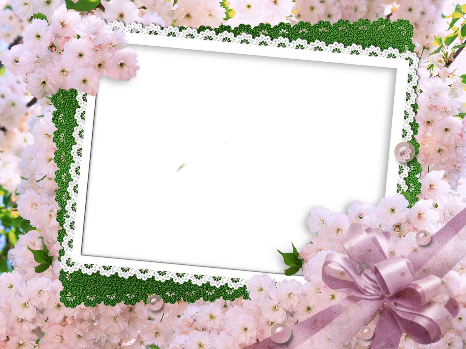 papier peint cadre photo,cadre de l'image,design d'intérieur,fleur,plante,pétale