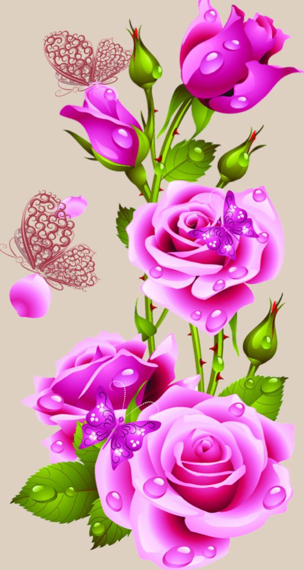 carta da parati roj,fiore,rose da giardino,rosa,rosa,rosa centifolia