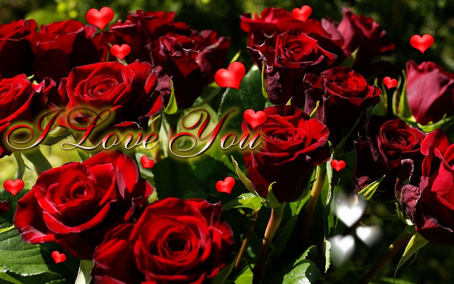 Red Rose I Love You Wallpaper I Love You Heart Wallpapers- WallpaperUse