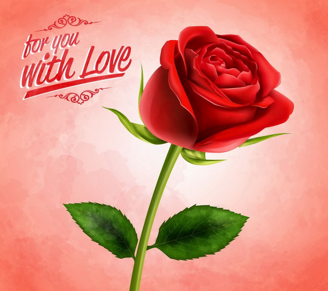 descarga gratuita de love rose wallpaper,rosas de jardín,flor,rojo,pétalo,rosa