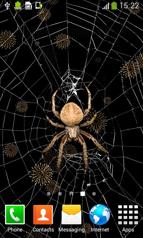fondo de pantalla en vivo de miedo,araña,telaraña,invertebrado,tarántula,artrópodo