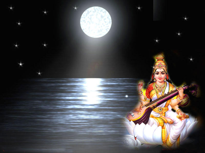 saraswati wallpaper,instrumento musical,actuación,gurú,instrumentos de cuerda pulsada,arte de performance