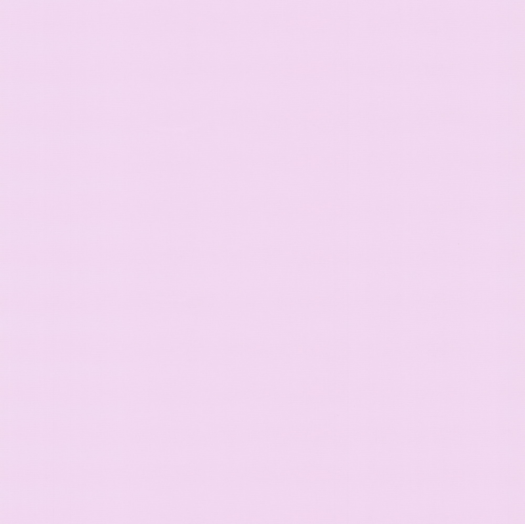 라이트 핑크 벽지,분홍,하얀,제비꽃,보라색,라일락 꽃