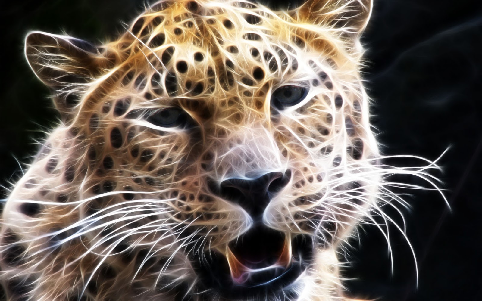 papier peint layar depan,animal terrestre,faune,moustaches,félidés,léopard
