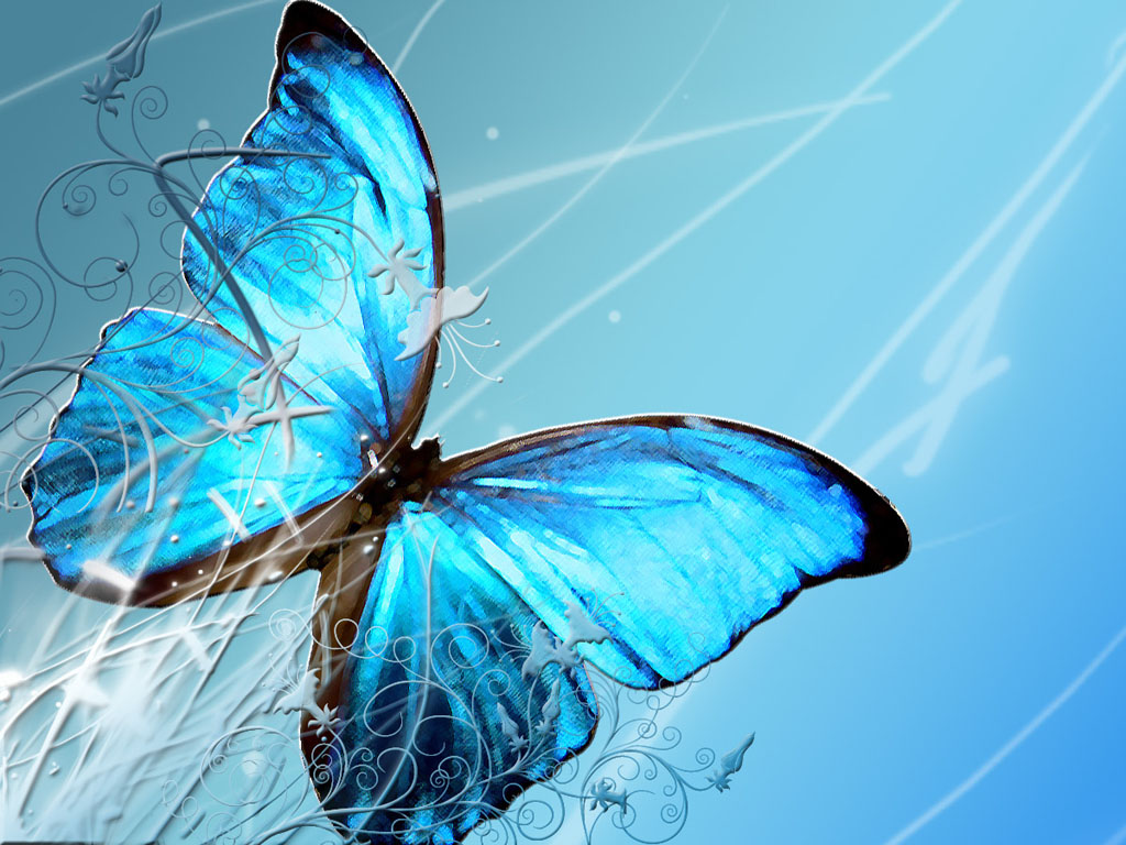 青い蝶の壁紙,バタフライ,青い,昆虫,蛾と蝶,ターコイズ