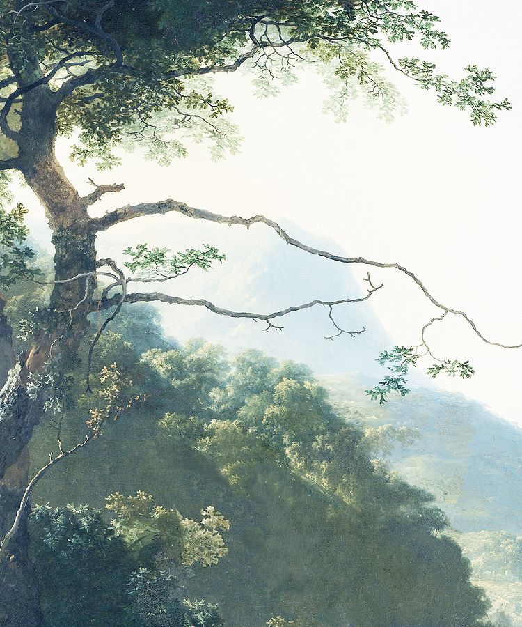 フレスコ壁紙,自然,木,自然の風景,空,木本