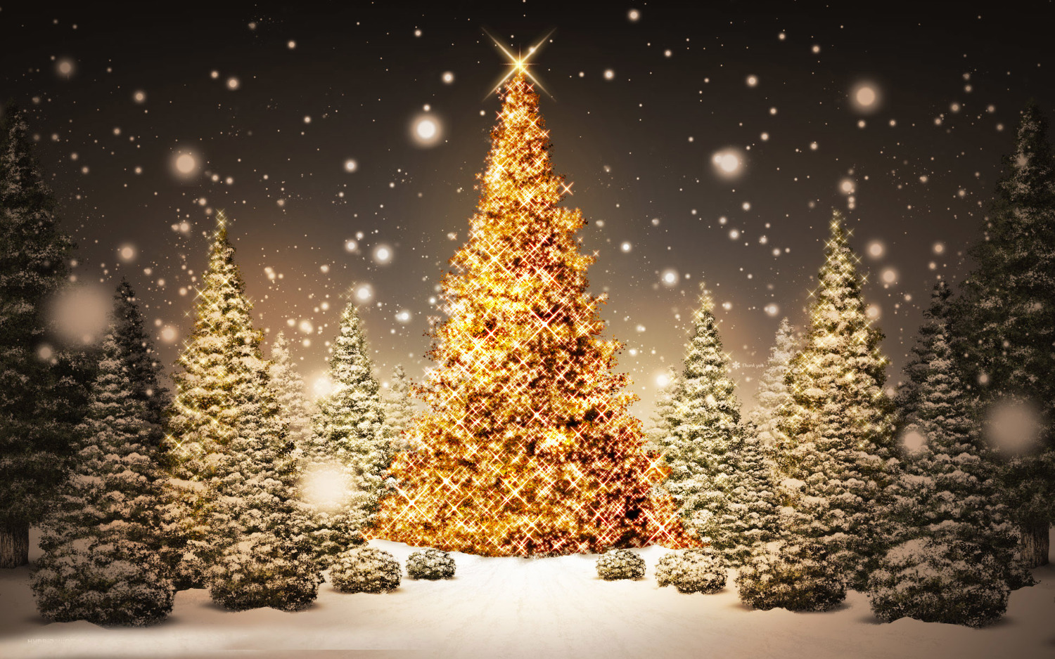 幸せなクリスマスの壁紙,クリスマスツリー,木,クリスマスの飾り,クリスマス・イブ,クリスマスのあかり