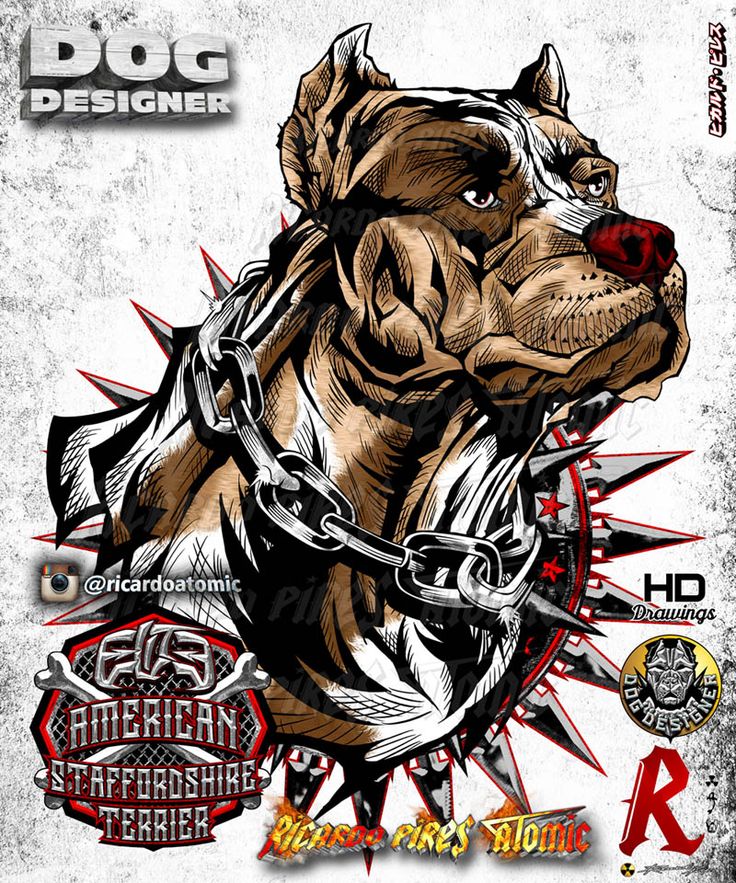 chien,pit bull terrier américain,bouledogue,pit bull,illustration