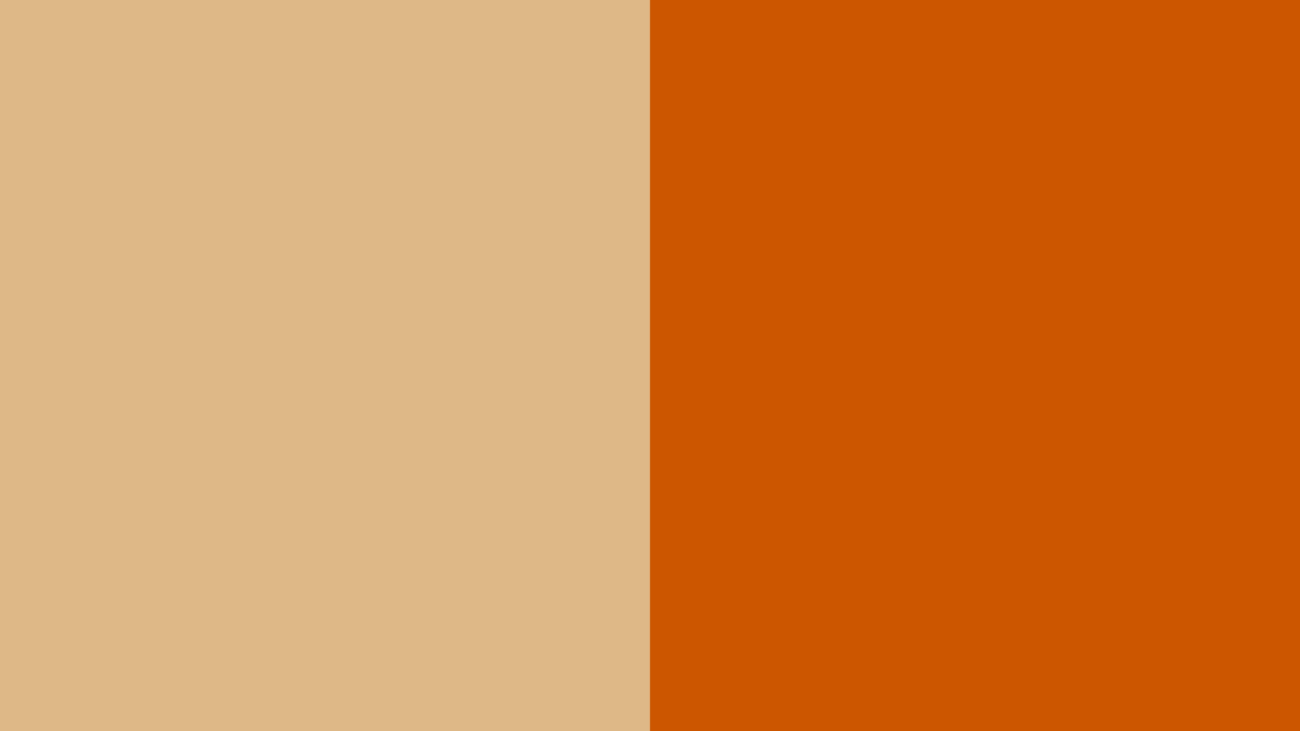 resolution-burlywood-and-burnt-orange-solid-two-color-orange