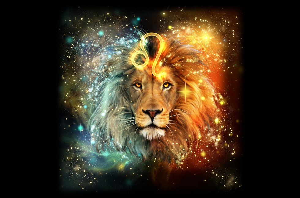 papel pintado leo,león,felidae,fauna silvestre,grandes felinos,ilustración