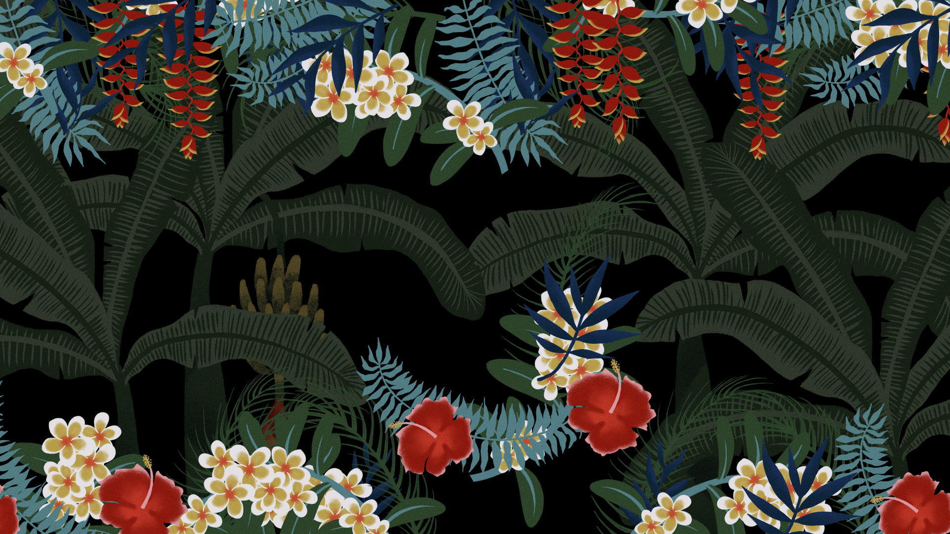 fond d'écran ensoleillé,plante,fleur,modèle,illustration,jungle