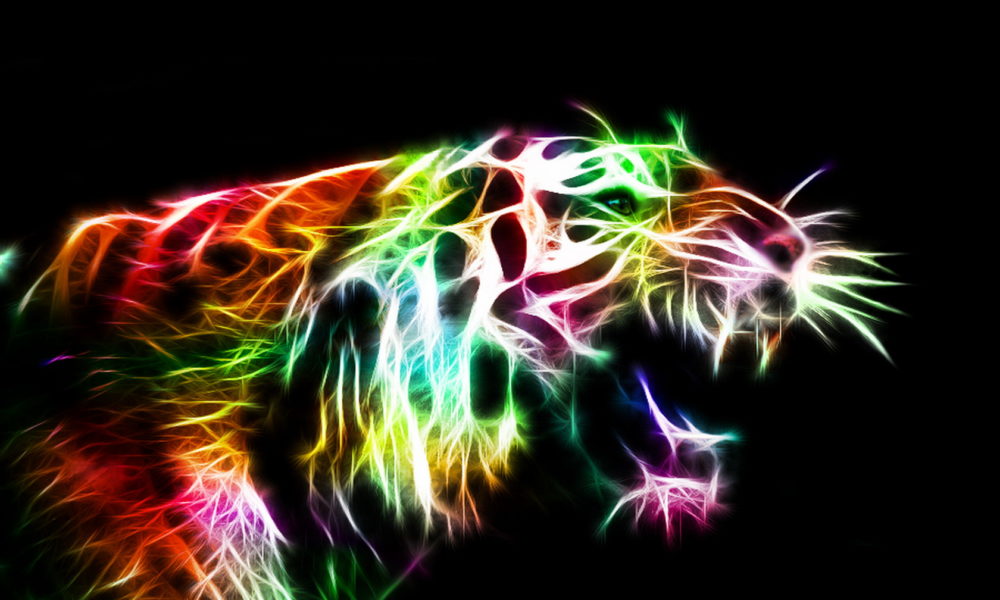 Tiger With Rainbow- WallpaperUse