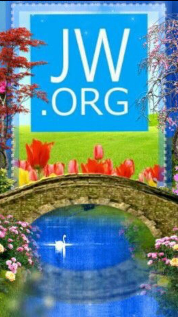 carta da parati jw,paesaggio naturale,majorelle blu,paesaggio,stagno,pianta