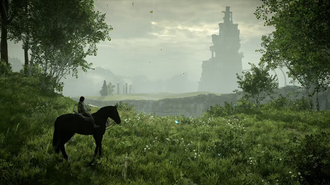ombra dello sfondo colosso,cavallo,cielo,erba,nebbia,atmosfera