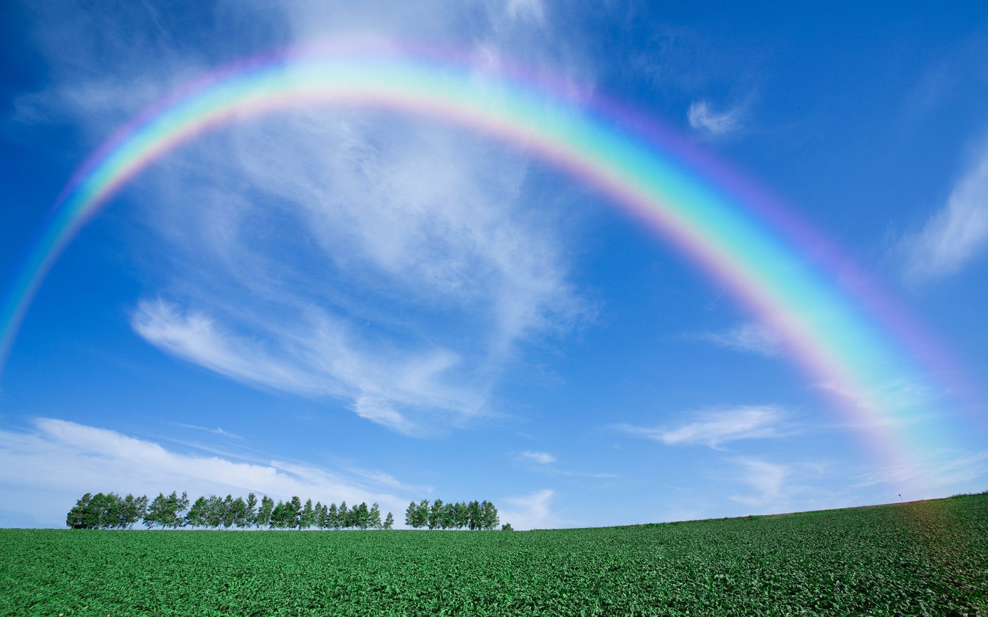 虹の壁紙のhd,虹,空,自然の風景,自然,草原